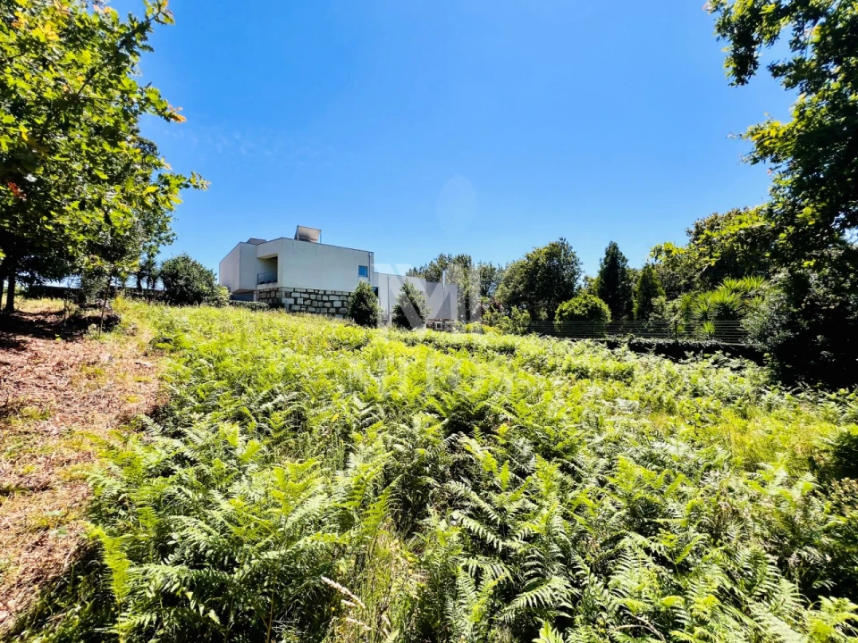 Terreno para Venda em Nogueira, Meixedo e Vilar de Murteda Foto 9