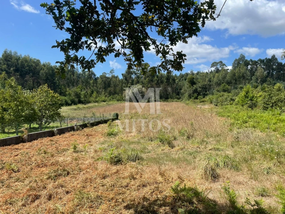 Terreno para Venda em Nogueira, Meixedo e Vilar de Murteda Foto 2