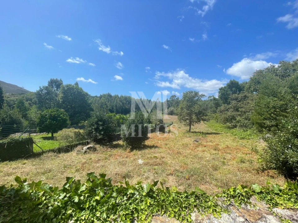 Terreno para Venda em Nogueira, Meixedo e Vilar de Murteda Foto 4