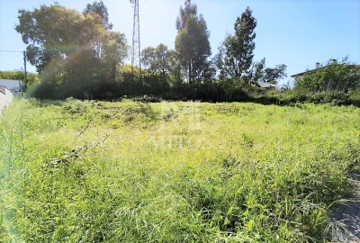 Terreno para Venda em Darque