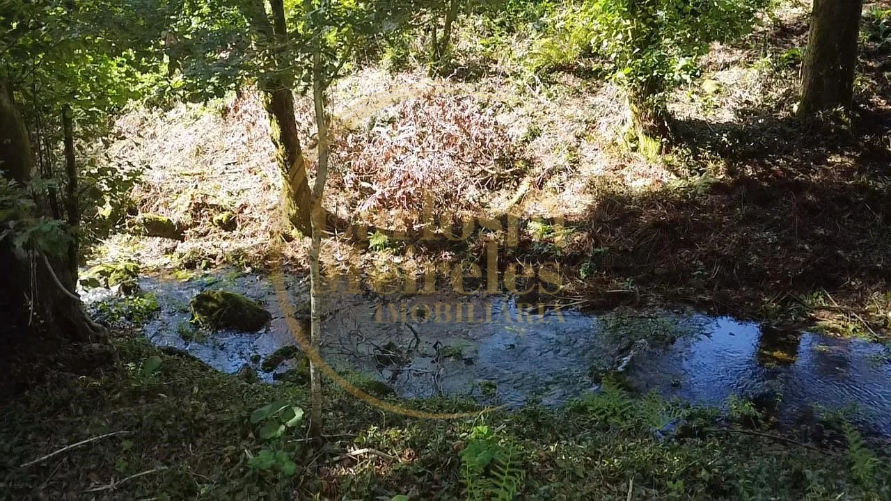 Terreno para Venda em Ribeira do Neiva Foto 2
