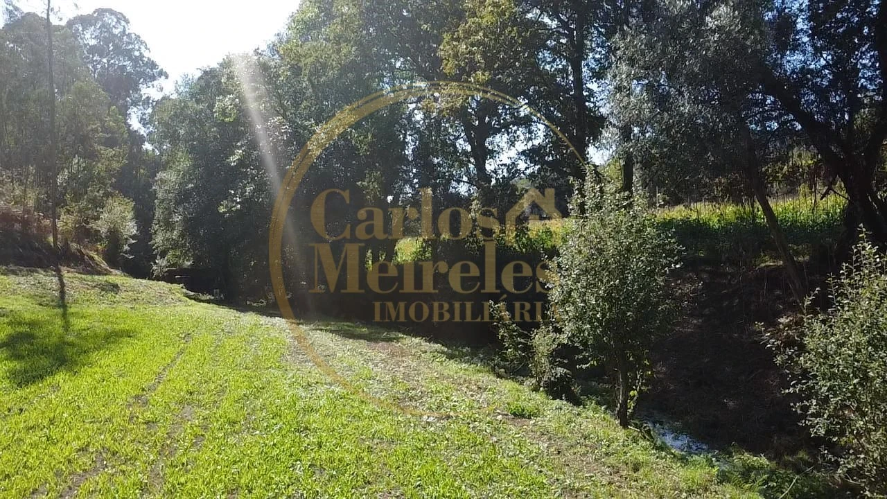 Terreno para Venda em Ribeira do Neiva Foto 3