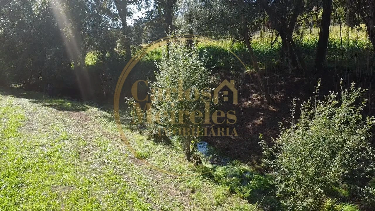 Terreno para Venda em Ribeira do Neiva Foto 4