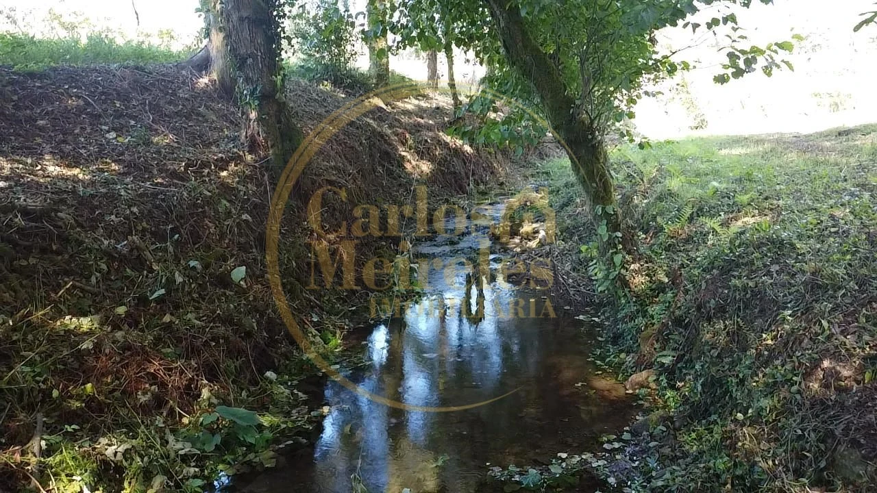 Terreno para Venda em Ribeira do Neiva Foto 8