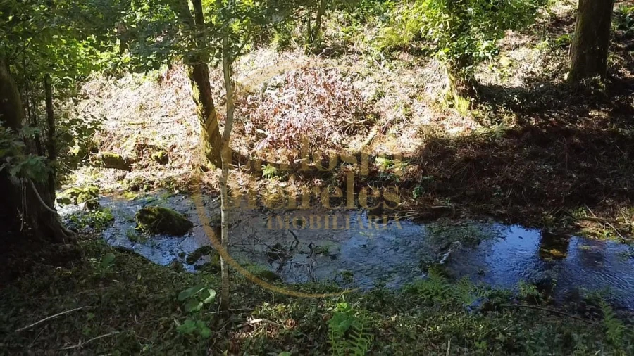 Terreno para Venda em Ribeira do Neiva Foto 2