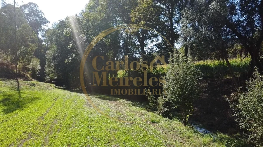 Terreno para Venda em Ribeira do Neiva Foto 3