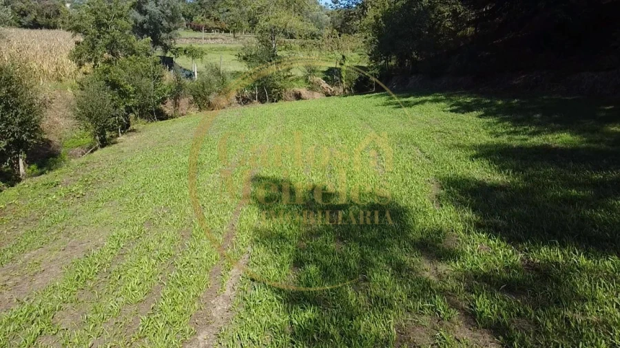 Terreno para Venda em Ribeira do Neiva Foto 6