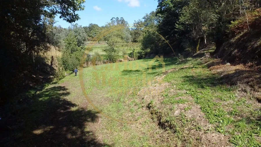 Terreno para Venda em Ribeira do Neiva Foto 7