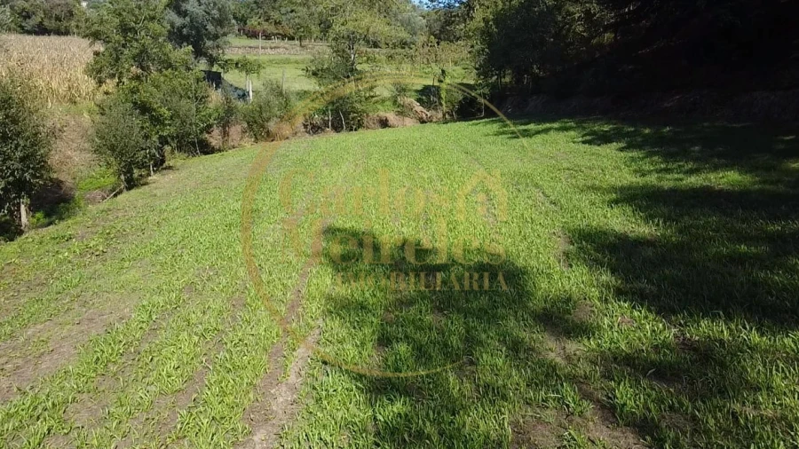 Terreno para Venda em Ribeira do Neiva