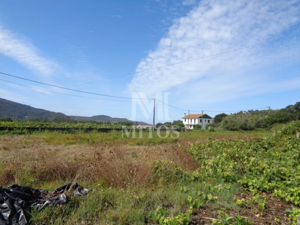 Terreno para Venda em Riba de Ancora Foto 4