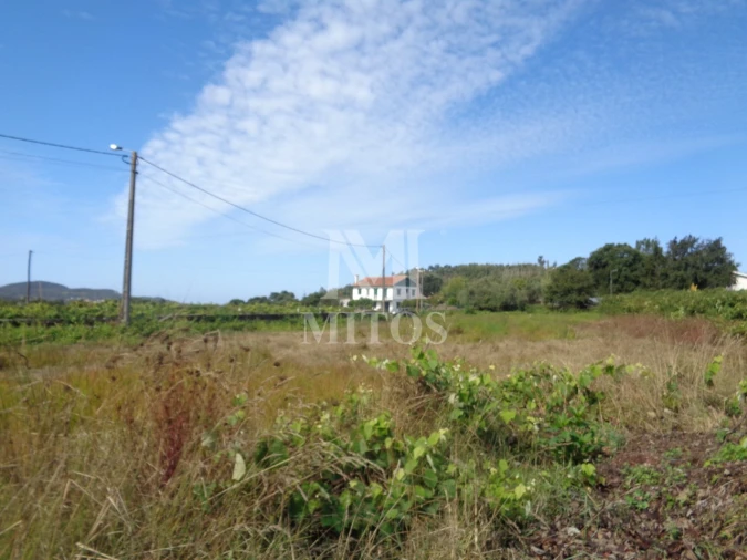 Terreno para Venda em Riba de Ancora