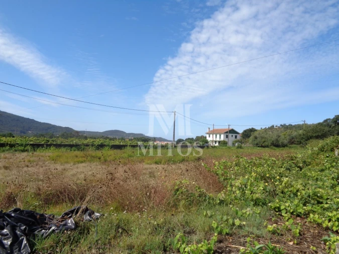 Terreno para Venda em Riba de Ancora Foto 4