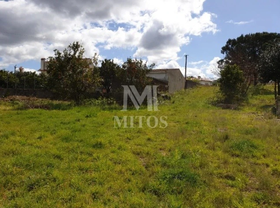 Terreno para Venda em Vila Franca Foto 4