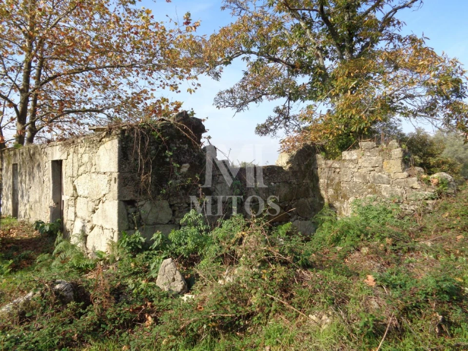 Terreno para Venda em Vila de Punhe Foto 3