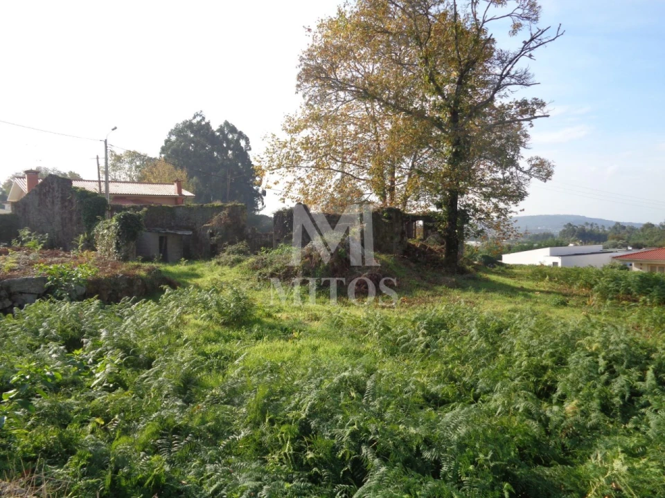 Terreno para Venda em Vila de Punhe Foto 8