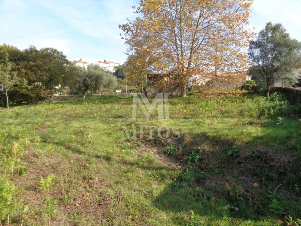 Terreno para Venda em Vila de Punhe Foto 10
