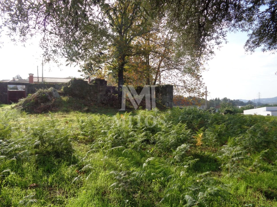 Terreno para Venda em Vila de Punhe Foto 12