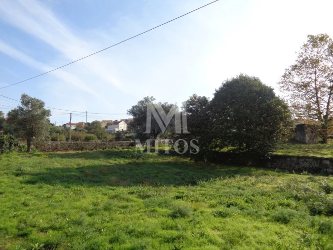 Terreno para Venda em Vila de Punhe Foto 2