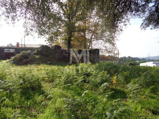 Terreno para Venda em Vila de Punhe Foto 12