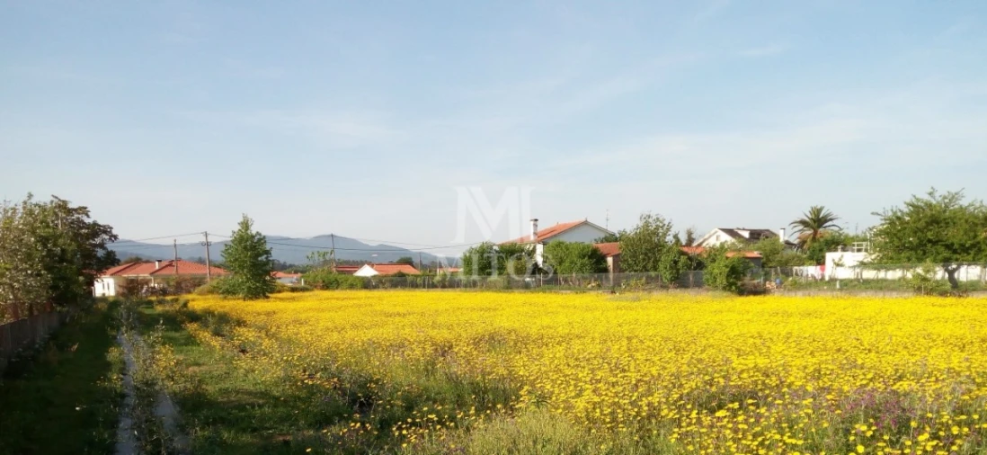 Terreno para Venda em Campos e Vila Meã Foto 1