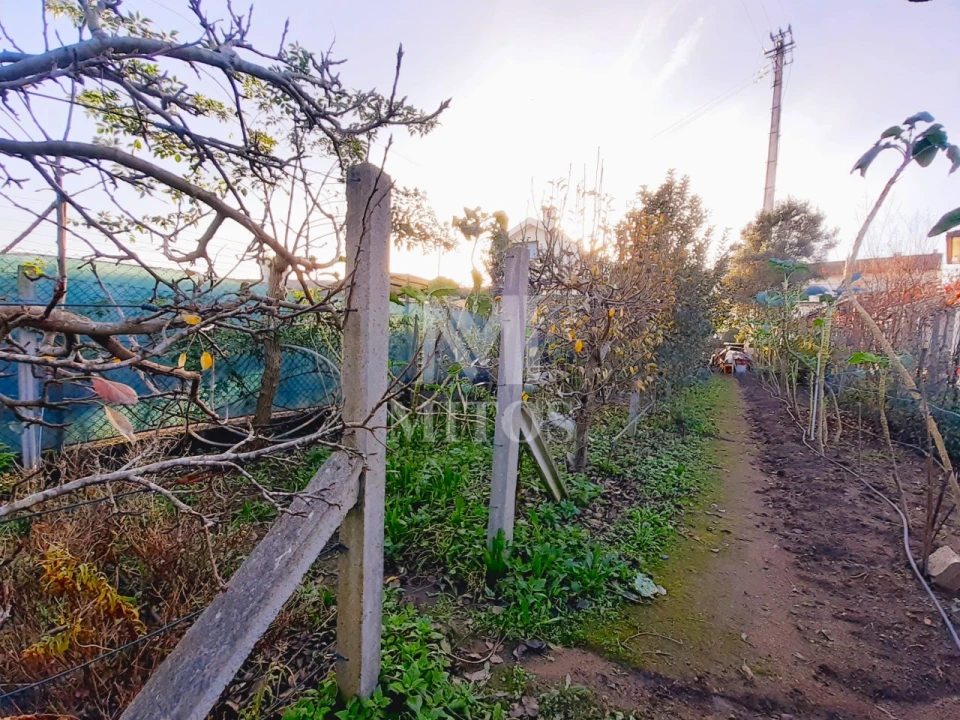 Terreno para Venda em Santa Maria Maior e Monserrate e Meadela Foto 1