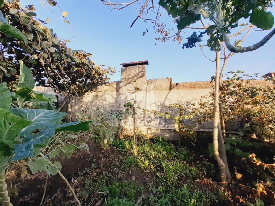 Terreno para Venda em Santa Maria Maior e Monserrate e Meadela Foto 8