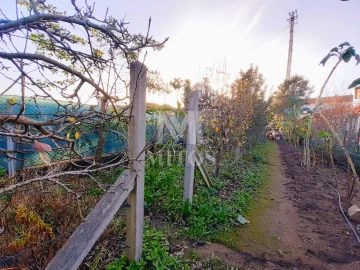 Terreno para Venda em Santa Maria Maior e Monserrate e Meadela