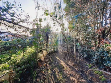 Terreno para Venda em Santa Maria Maior e Monserrate e Meadela
