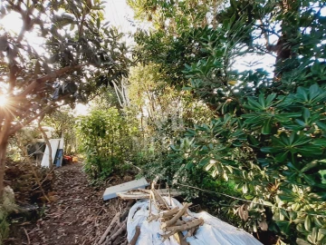 Terreno para Venda em Santa Maria Maior e Monserrate e Meadela