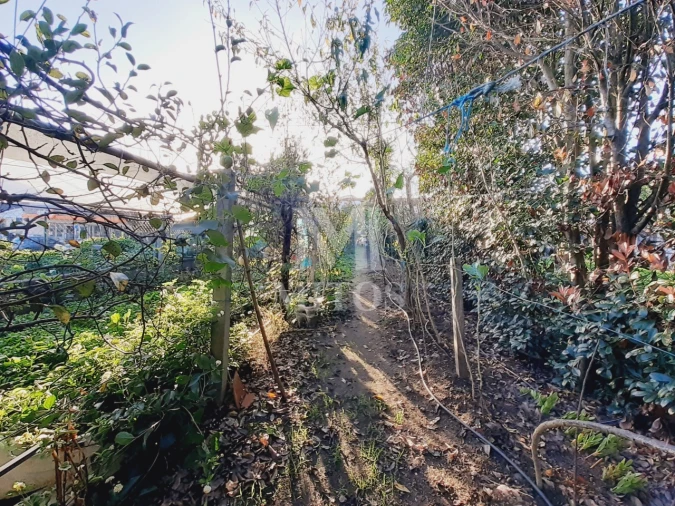 Terreno para Venda em Santa Maria Maior e Monserrate e Meadela Foto 2