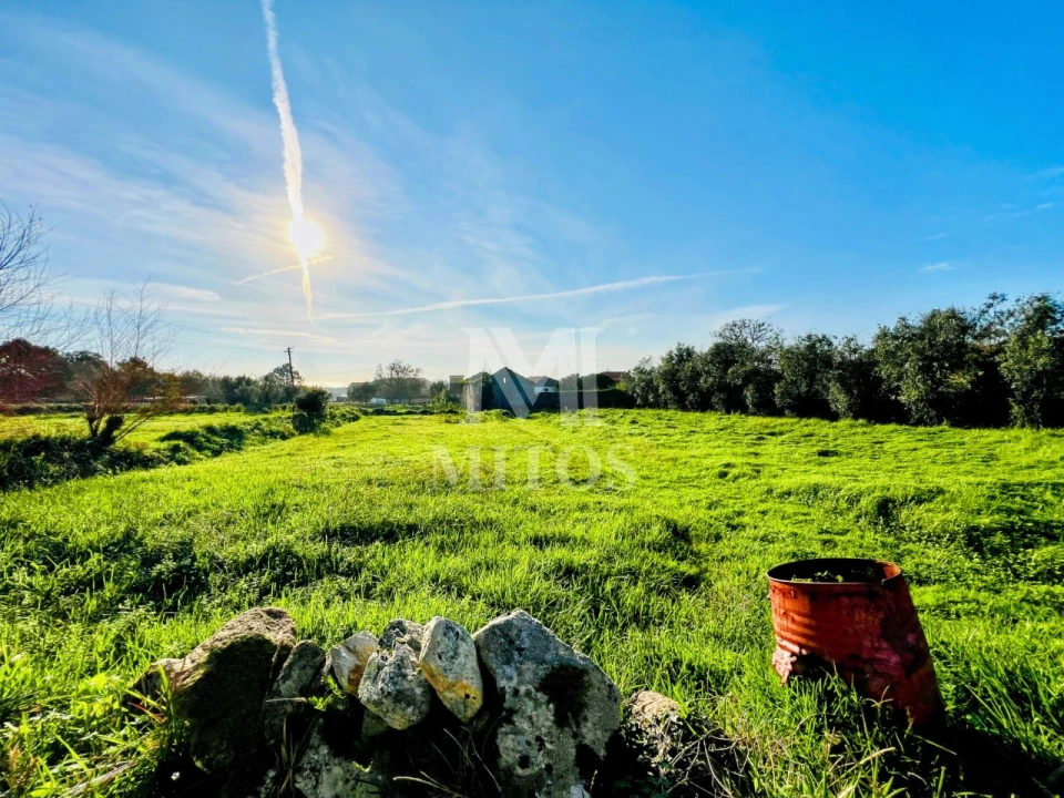 Terreno para Venda em Afife Foto 1