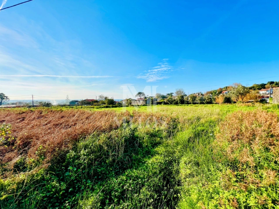 Terreno para Venda em Afife Foto 7