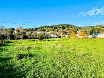 Terreno para Venda em Afife