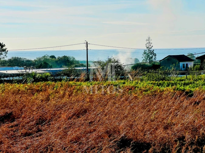 Terreno para Venda em Afife Foto 6