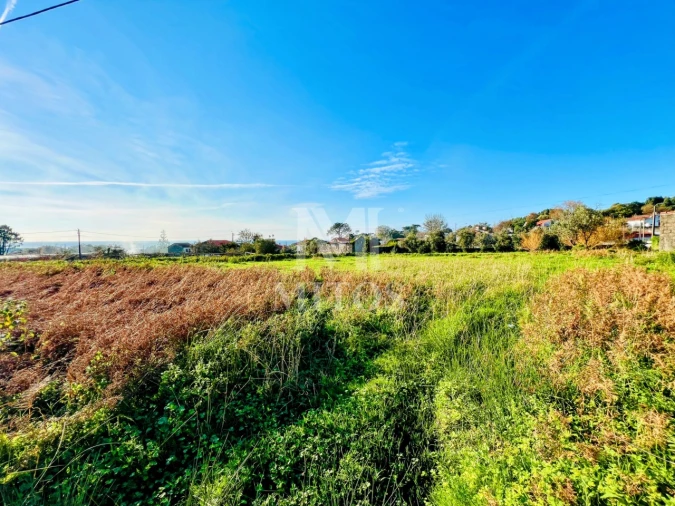 Terreno para Venda em Afife Foto 7