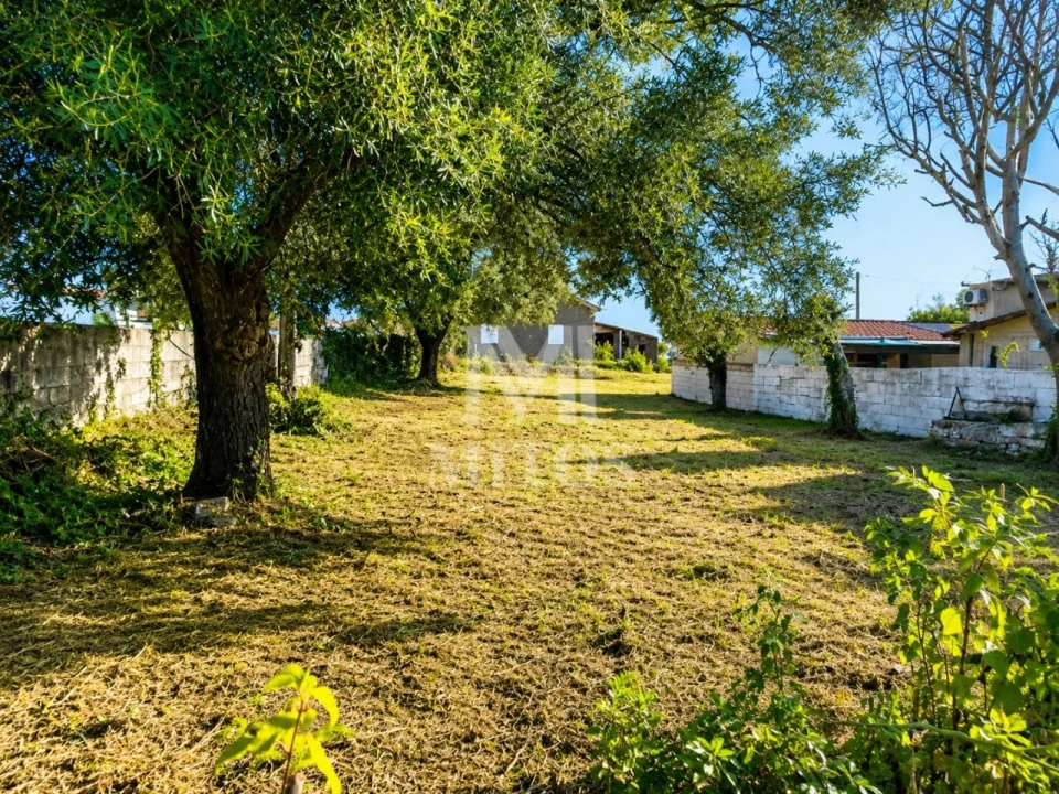 Terreno para Venda em Barroselas e Carvoeiro Foto 4