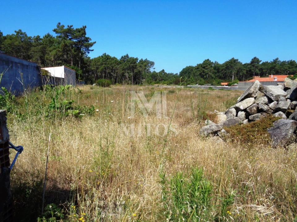 Terreno para Venda em Chafe Foto 2