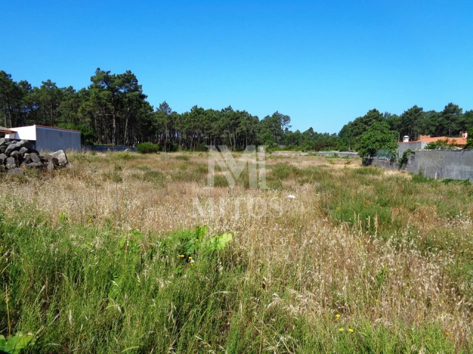 Terreno para Venda em Chafe Foto 3