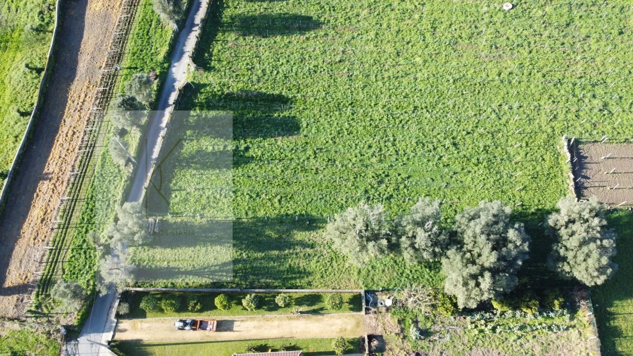 Terreno para Venda em Fontão Foto 7