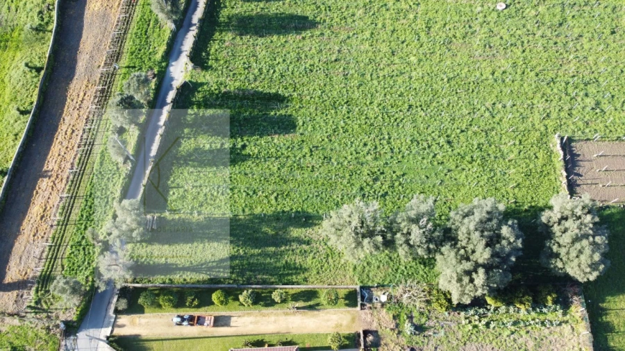 Terreno para Venda em Fontão Foto 7