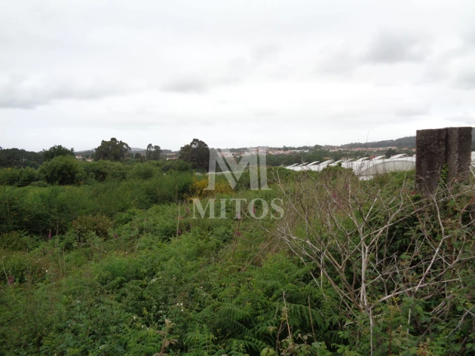 Terreno para Venda em Mujães Foto 3
