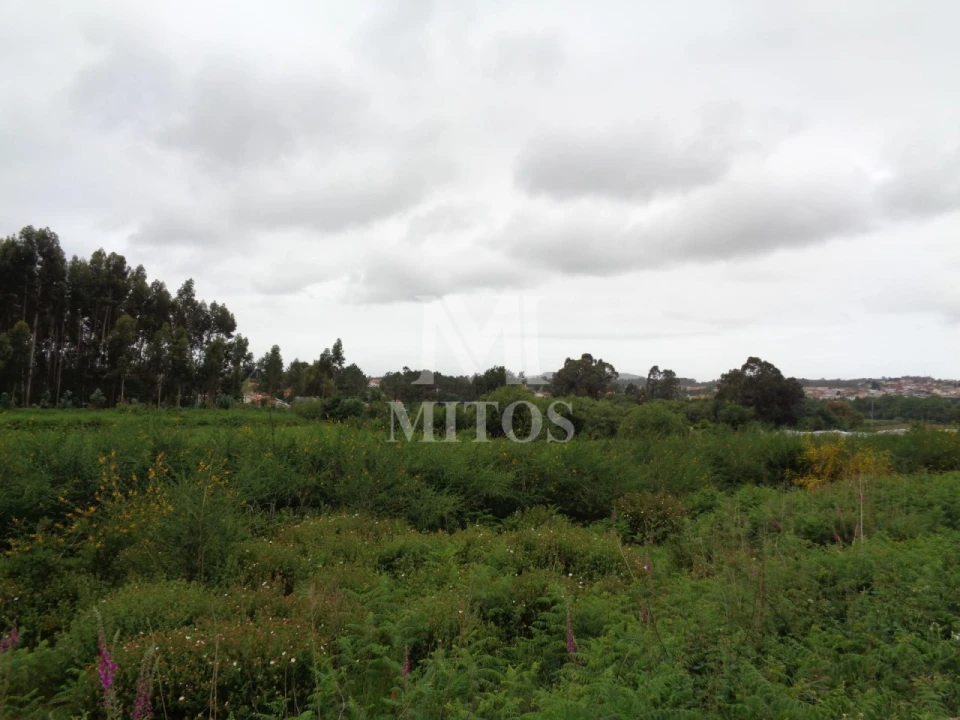 Terreno para Venda em Mujães Foto 4