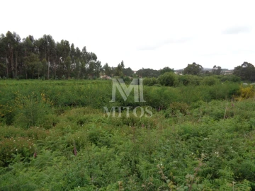 Terreno para Venda em Mujães