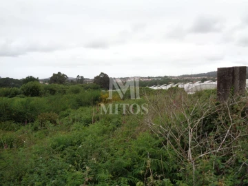 Terreno para Venda em Mujães