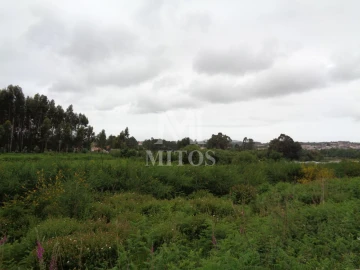 Terreno para Venda em Mujães