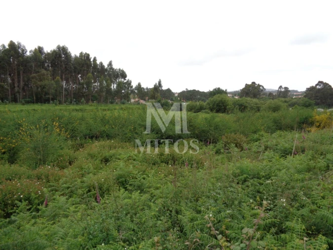 Terreno para Venda em Mujães Foto 2