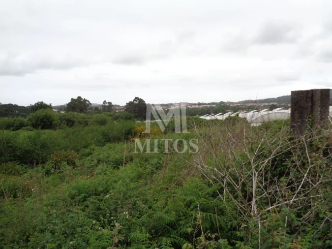 Terreno para Venda em Mujães Foto 3