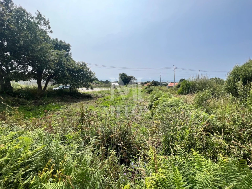 Terreno para Venda em Carreço Foto 3
