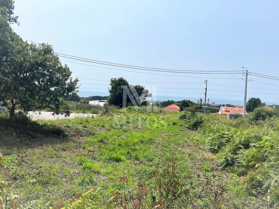 Terreno para Venda em Carreço Foto 7