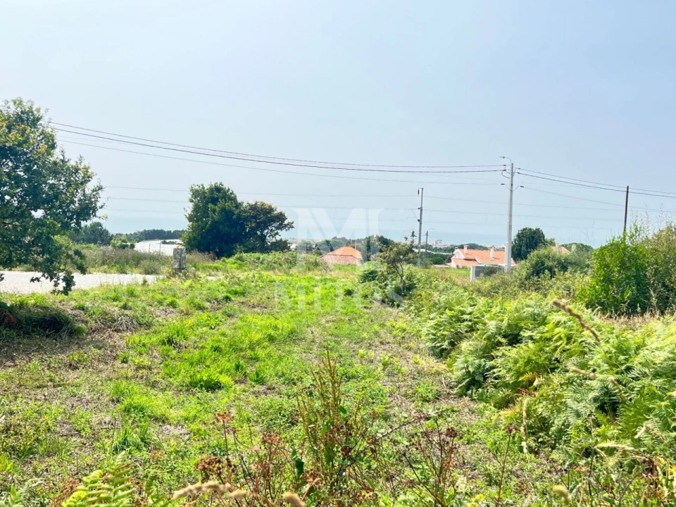 Terreno para Venda em Carreço Foto 1
